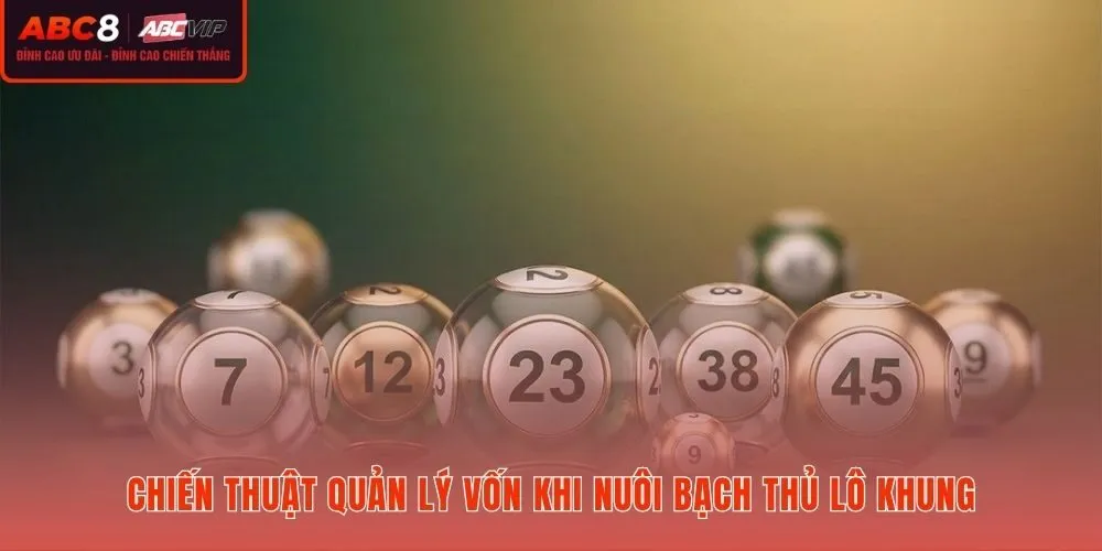 Nguyên tắc quản lý quỹ lưu động khi nuôi bạch thủ lô khung