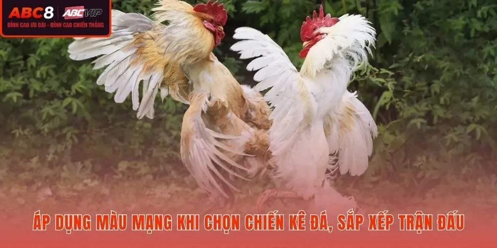Màu mạng gà và quy luật tương khắc trong ghép cặp đấu kê
