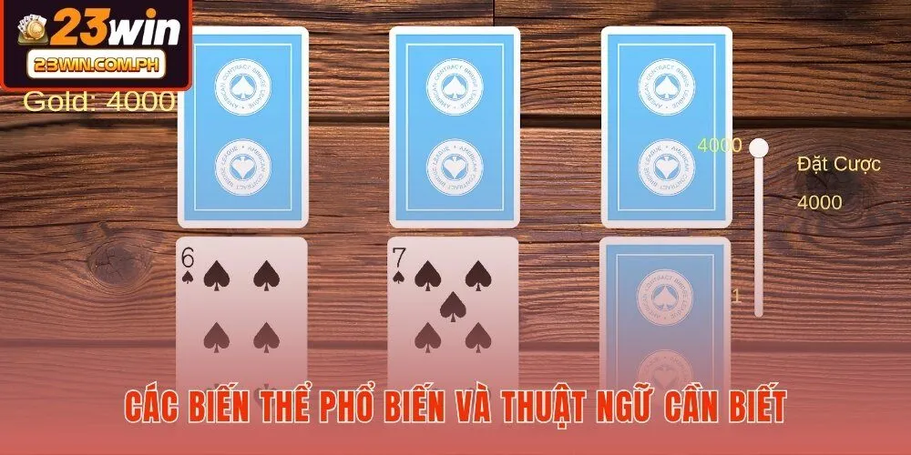 cac-bien-the-pho-bien-va-thuat-ngu-can-biet