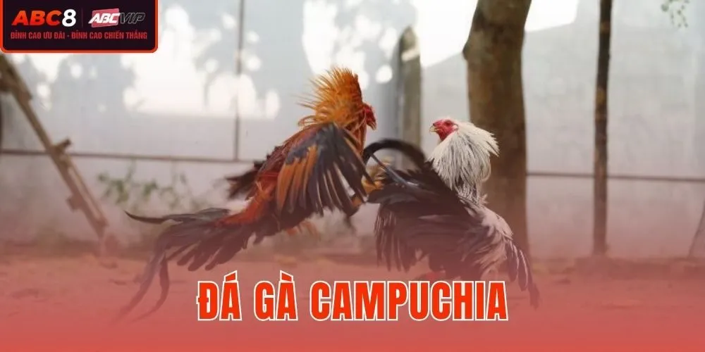 Đá Gà Campuchia